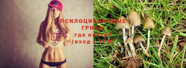 ALPHA-PVP Аркадак